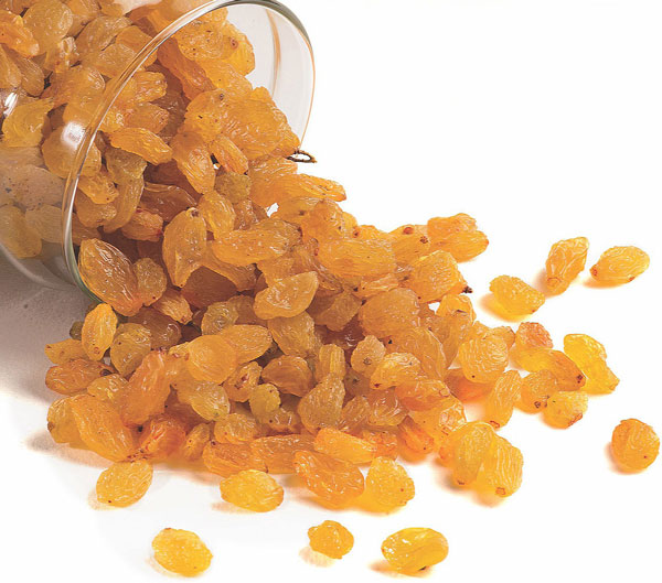 Golden Raisins